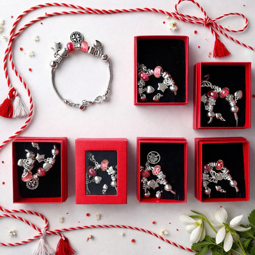 Accesorii pentru Aranjarea Parului 5/set din Plastic, Diferite Culori