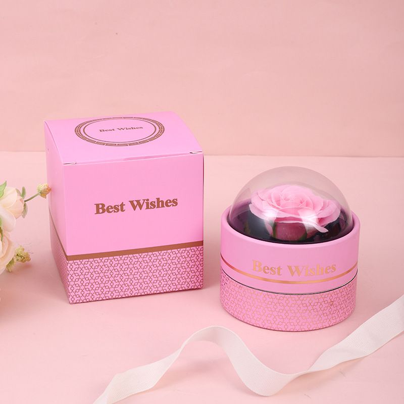 Accesorii pentru Aranjarea Parului 5/set din Plastic, Diferite Culori